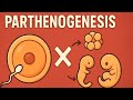 Parthenogenesis Nature S Asexual Reproduction Explained Parthenogenesis CRISPR