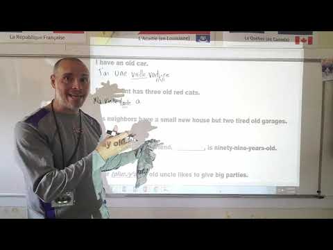 Beau, Nouveau, Vieux: Part 6 and practice sentences