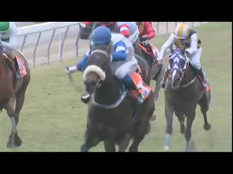 FAITES VOS COURSES - 9th Meeting 2020 Season