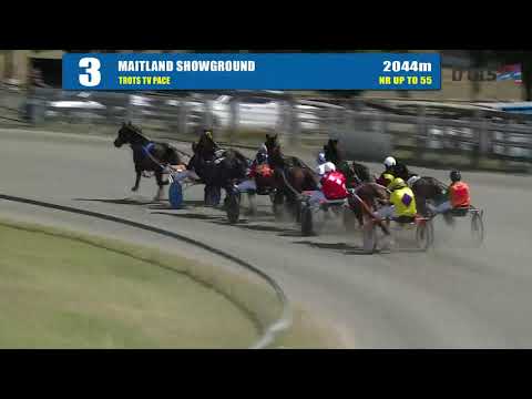 MAITLAND - 11/11/2019 - Race 3 - TROTS TV PACE