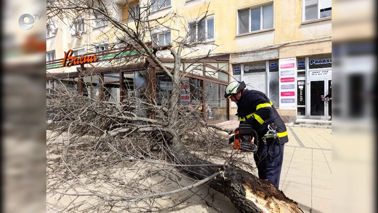 Множество изпадали дървета и отчупени клони в Кърджали, заради силните пориви на вятъра