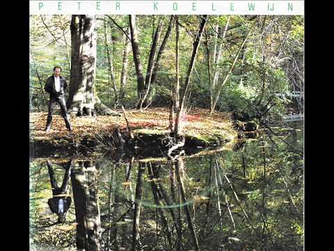 Flight 204 (KL 204) (Als ik God was) / Peter Koelewijn.