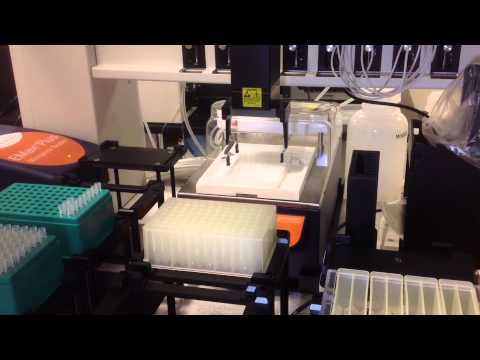 Beckman Coulter  ELISA workflow on Biomek NXp span 8