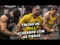 TREINO DE