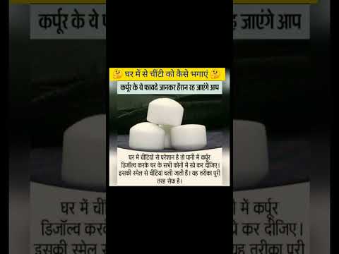 🤔 घर में से चींटी को कैसे भगाएं 🤔