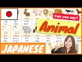 Animal In Japanese Japanese Vocabulary