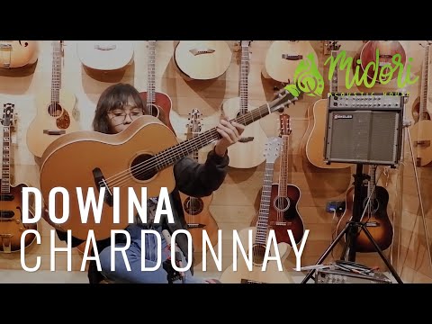 GUITAR REVIEW #11 Dowina: Chardonnay GAC-C [Midori Acoustic House]