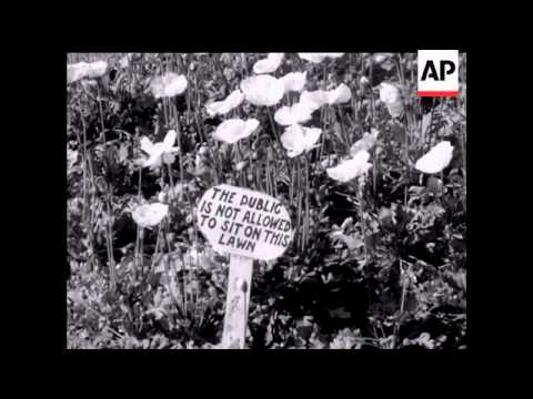 SPRING IS HERE - SOUND