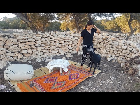 HAFIDA and FAMILY sidi kaouki ,forests AND BEACH.