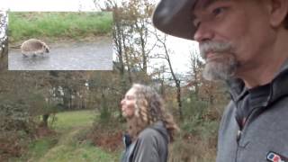 We found Merlin's Tomb