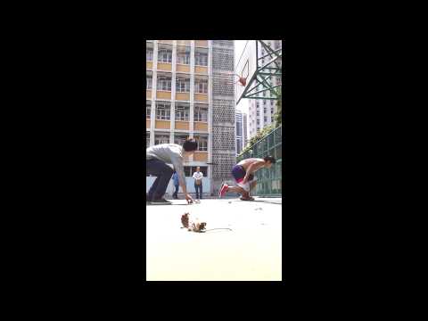 150414 & 17 W18 Plyo & Max-OT Cardio Session