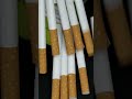 Fake Cigarette Shorts Bluebox