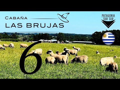 Cabaña LAS BRUJAS ( 6 )