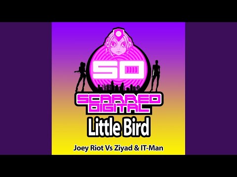 Little Bird (Original Mix)