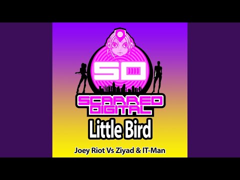 Little Bird (Original Mix)