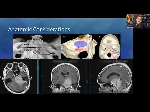 Enzo Patient Portal Log In Detailed Login Instructions Loginnote