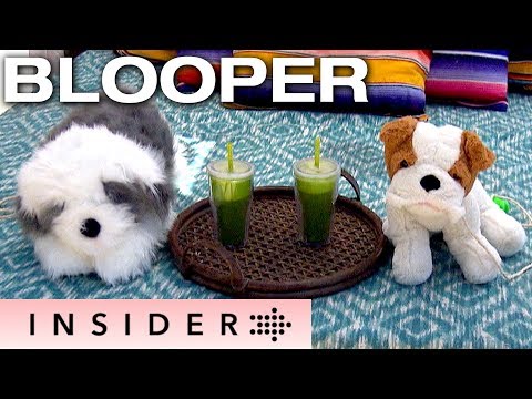 BLOOPER: Chris And Krystal Walk The 'Dogs' 😂 | The Bachelor Insider
