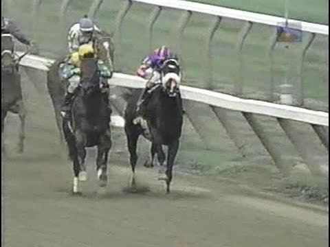 1996 A Phenomenon Stakes