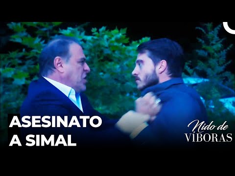 Es Hora De Venganza - Nido De Víboras