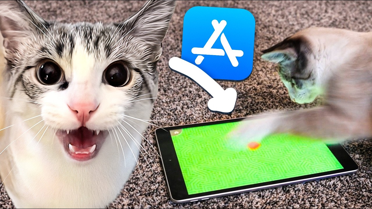 My Cat Tried Every Cat Mobile Game on the App Store