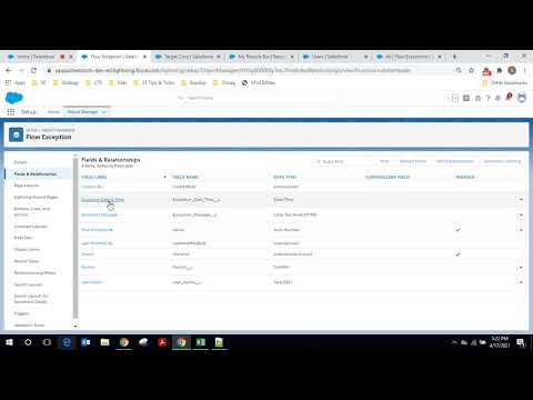 Micro Project - Flows - Auto Launched Flow (Record Triggered Flow) + Logging Fault Messages