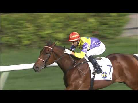 18/12/2021 (270) Soulmate - J Moreira