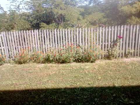 Васкрсење мртвих