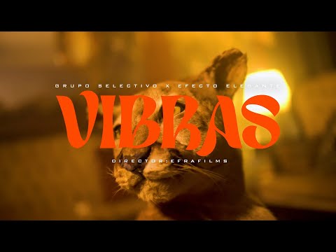 Grupo Selectivo ft. Efecto Elegante - VIBRAS (Video Oficial)