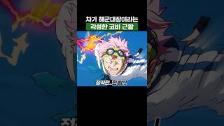 원피스) 차기 해군대장이라는 각성한 코비 근황 #원피스
