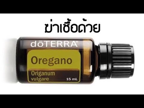 ความแข็งแรงในวัยหนุ่มสาว แรงเหมือน pornoaktera