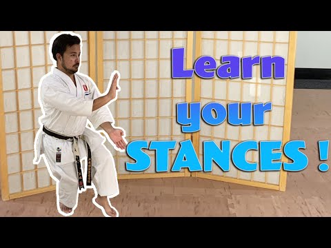 Practice Stances that we use for RYUEI RYU!