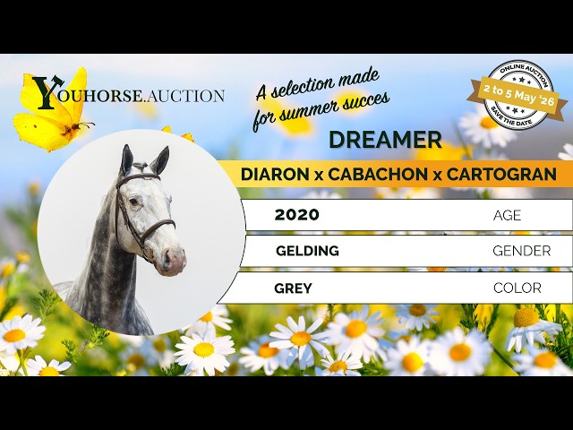 Dreamer