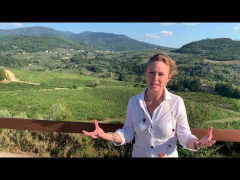 Behind the wines | Frescobaldi Vini - Mormoreto