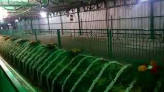 Hazarath Syed Dawood Auliya Venadu Dargah (Sullurpeta)