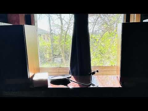 Il Vagabondo Detto Houston - FEMME FATALE (Audio)