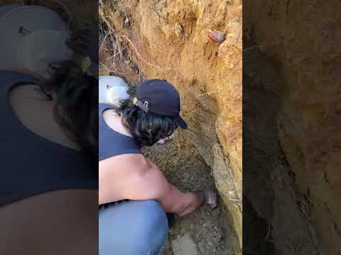 Cuarzos de santa Juana, Bio-Bio Chile #crystals