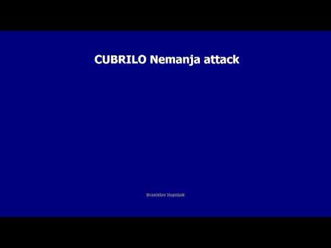 Nemanja Čubrilo highlight video