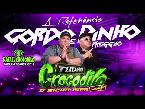 400 CD AO VIVO TUDÃO CROCODILO EM GOVERNADOR NUNES FREIRE(MARANHÃO)08-11-2025 DJS GORDO & PAULINHO