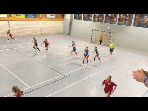 26.11.22 🤾🏼‍♀️ 3. Liga Frauen Staffel Nord-Ost 1. HZ SV Todesfelde/Leezen-Berliner TSC