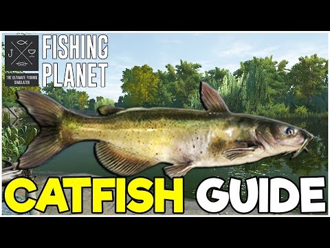 CATFISH Fishing Guide! - Fishing Planet Tips