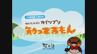 滋賀の地名でダジャレ「知ってるもん」【アミンチュソング】