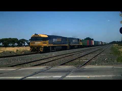 NR89 NR42 on Freight at Donnybrook