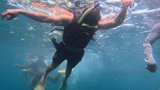Nusa Penida &amp;amp; Manta Bay Travel Vlog 🇮🇩 #balitravel #nusapenida #indonesiatravel #travelguide