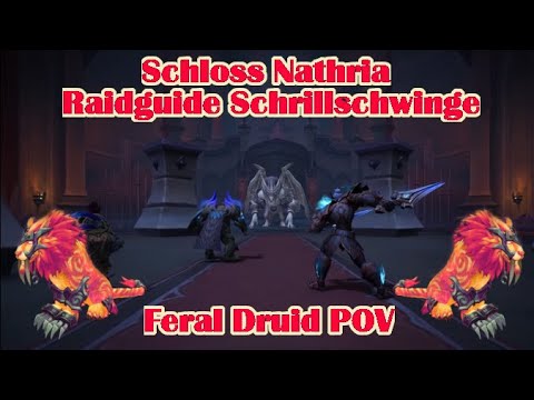 Schrillschwinge Raidguide - Schloss Nathria (NHC, LFR, Hero) | WoW