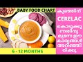 6 to 12 Months Baby Foods Malayalam|Is Cerelac Safe?