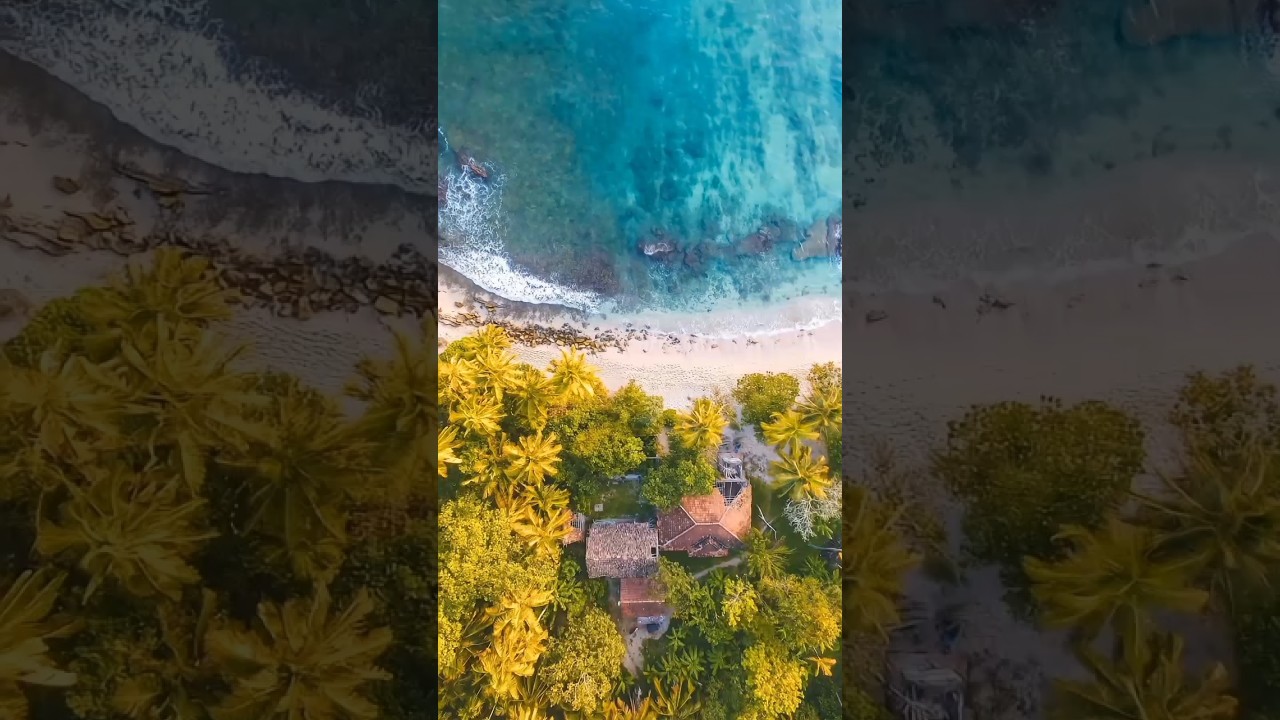 YouTube Short thumbnail