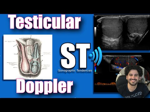 Scrotal/Testicular Doppler Protocol