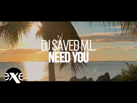 DJ SAVED M. L. - Need You