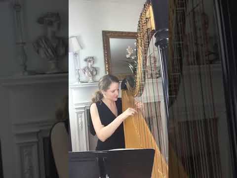 Promotional video thumbnail 4 for Nashville Harp
