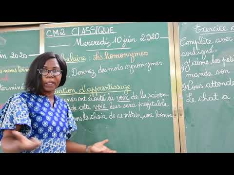 CM2 Classique Vocabulaire : Les homonymes